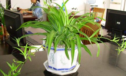 �ό��k�����b��