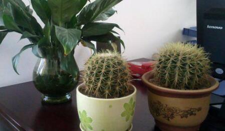 �ό��k�����b��