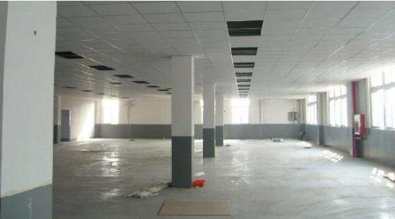 �ό����S�b���O(sh��)Ӌ