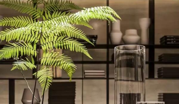 南寧會所裝修 南寧會所裝修