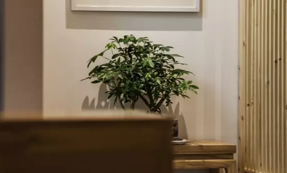 �ό�����Ժ�����b���O(sh��)Ӌ