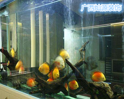 �ό��b�޹�˾