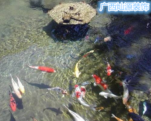 �ό��b�޹�˾