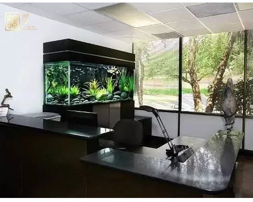 �ό��b�޹�˾���NԴ�b�/�k�����b��Ч���D