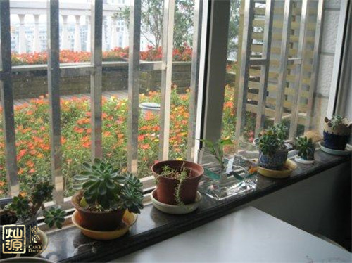 辦公室裝修-窗臺綠色擺放 辦公室裝修-窗臺綠色擺放