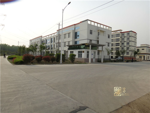 �ό����S�b���OӋ