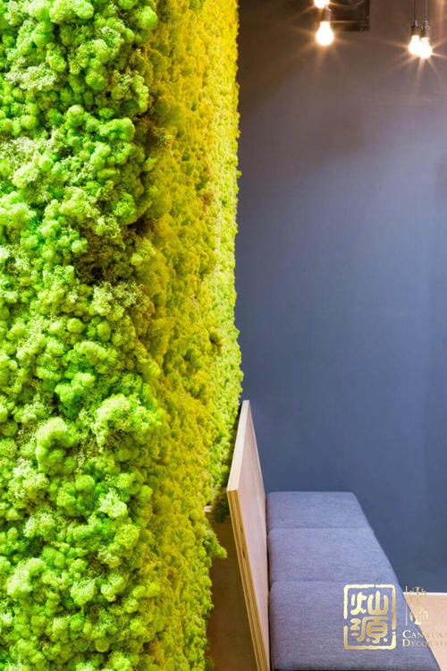 ���I�L�k�����OӋЧ���D